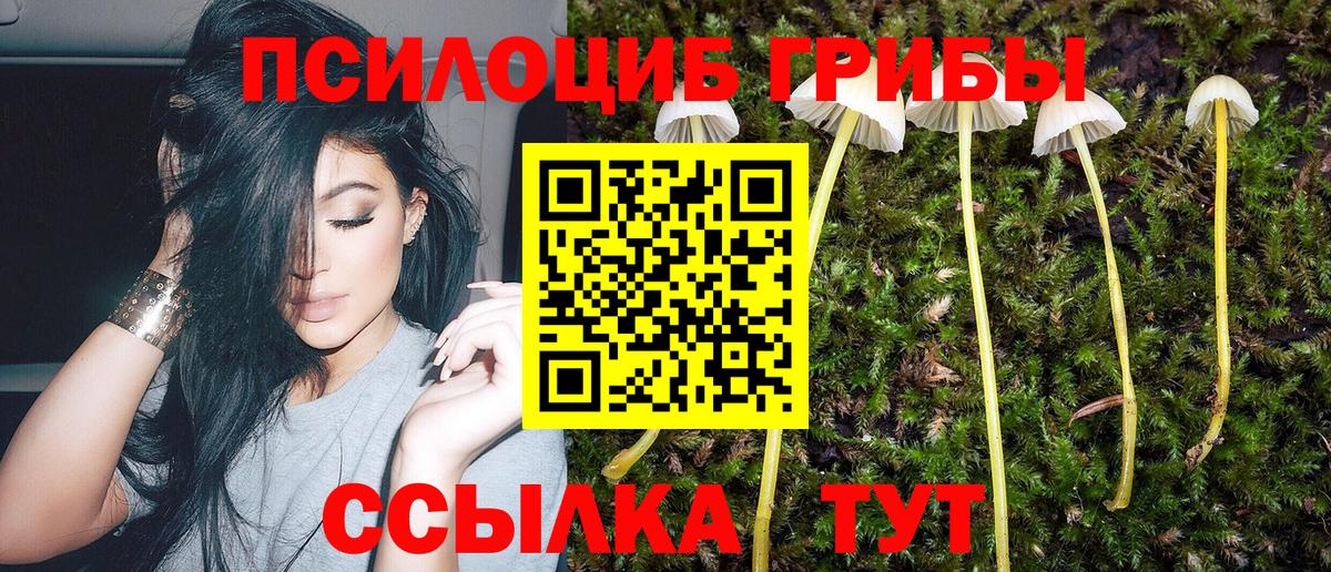 Псилоцибиновые грибы MAGIC MUSHROOMS Междуреченск