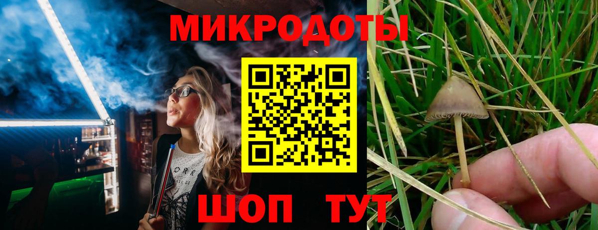 Псилоцибиновые грибы мицелий  Галлюциногенные грибы Psilocybine cubensis  Вход с VPN  Междуреченск 